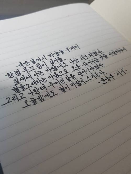 [스압] 흔한 디씨인의 글씨체.jpg