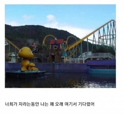 꿈돌이 근황.jpg