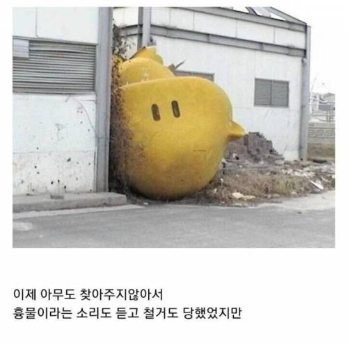 꿈돌이 근황.jpg