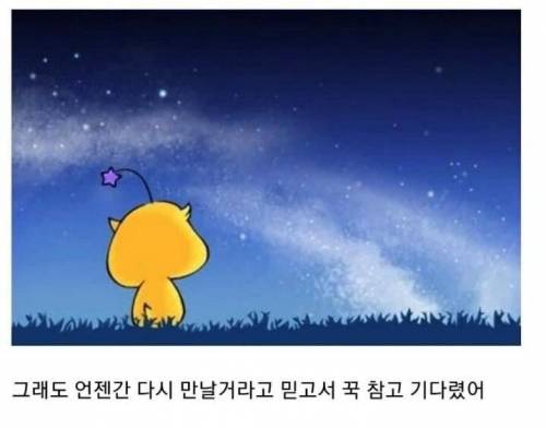 꿈돌이 근황.jpg