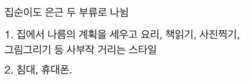 집순이도 은근 두 부류로 나뉨.jpg