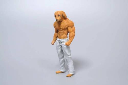 3대 500치는 강아지 근황.jpg
