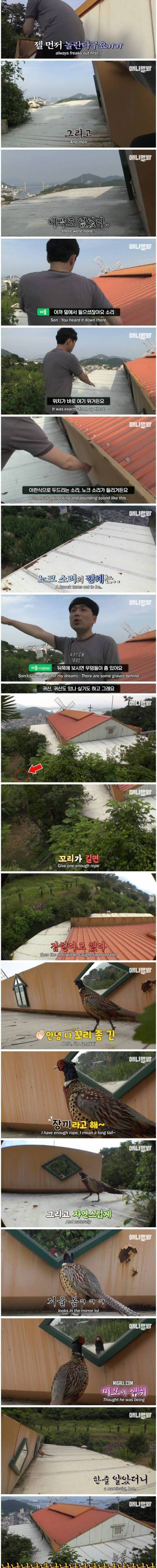 [스압] 4개월째 들리는 의문의 노크 소리.jpg