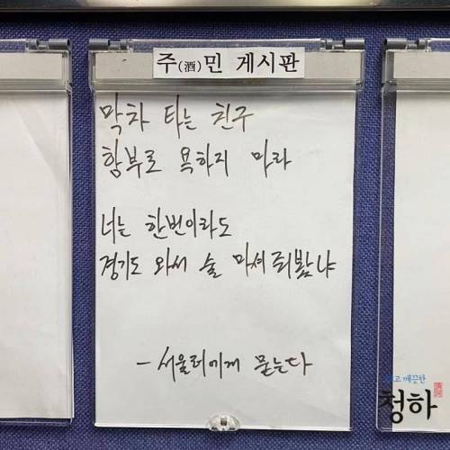 서울놈들에게 묻는다..jpg