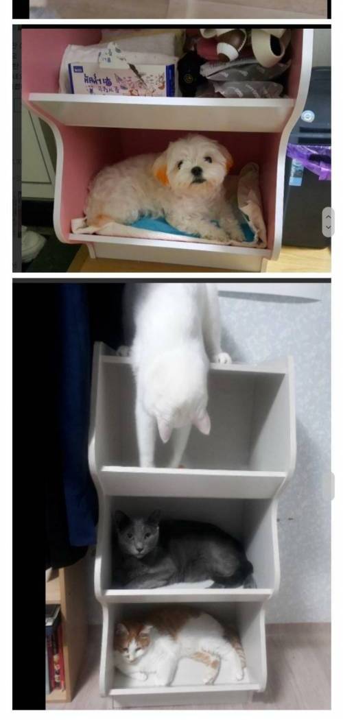 [스압] 의도와 다르게 판매되는 제품.jpg