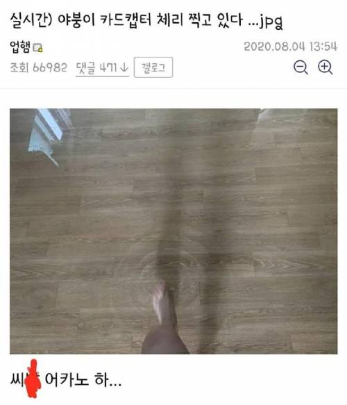 카드캡터 체리 찍고 있는 디시인.jpg