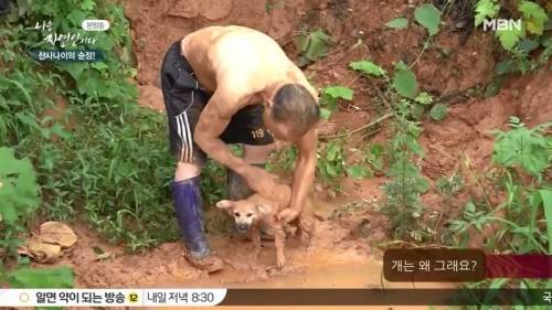 개가 참 좋아해요.jpg