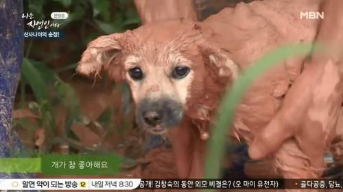 개가 참 좋아해요.jpg