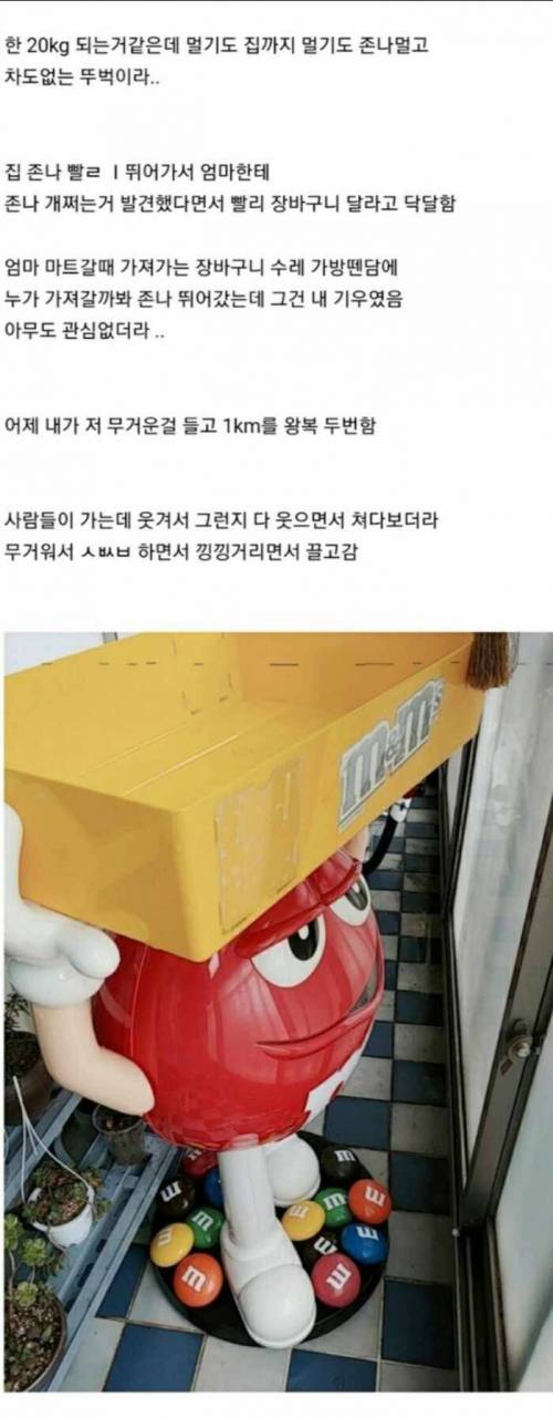 이거 길에있으면 주워가나요??