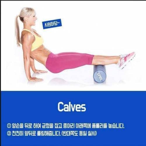 초보들을 위한 폼롤러 사용방법.jpg