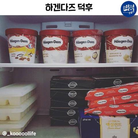 [스압] 돈 많은 자취생들의 풍족한 삶 모음.jpg
