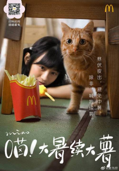 [스압] 맥도날드 감자튀김 냥냥이 발집게.jpg
