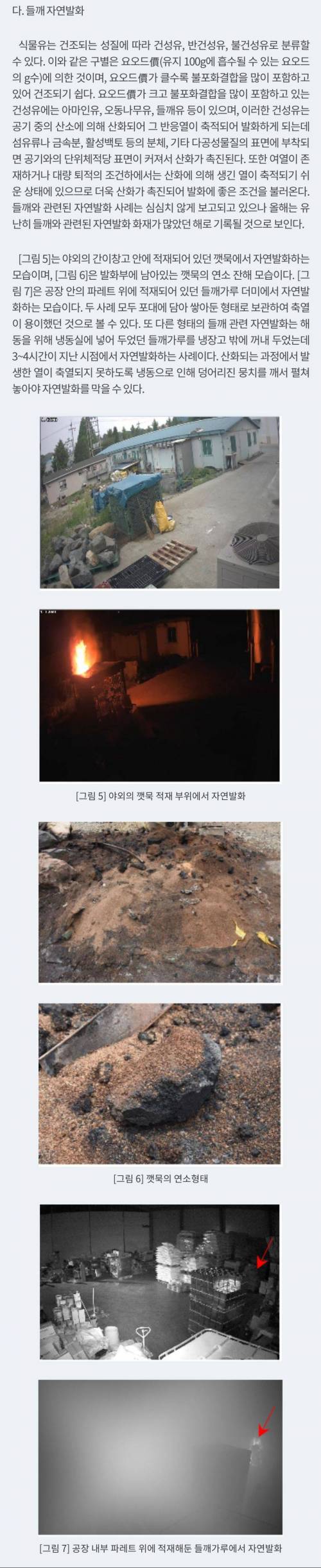 집에서 들깨가루 보관에 주의해야 하는 이유.jpg