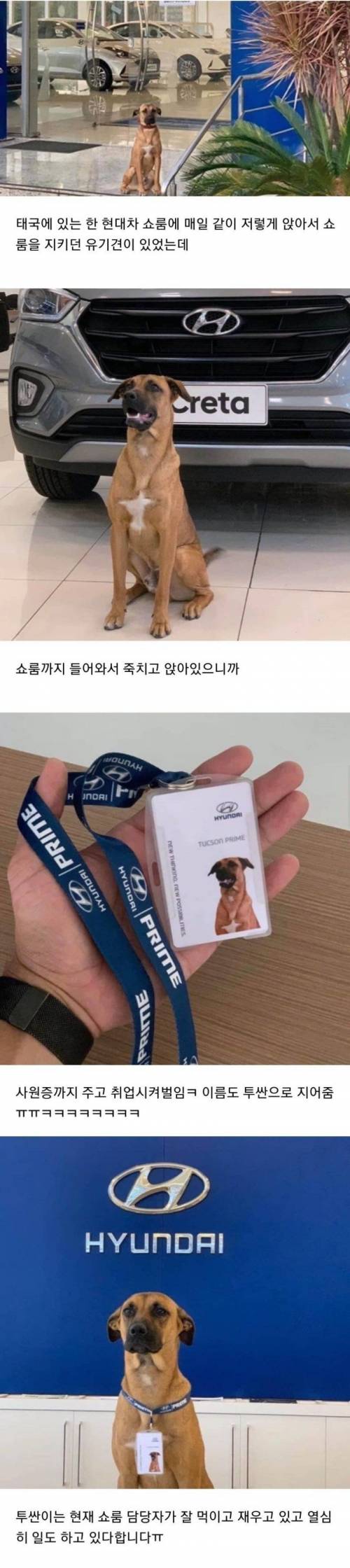 존버해서 취업 성공.jpg