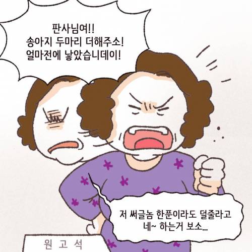 [스압] 브랜드 한우의 가격은 그래서 ?????