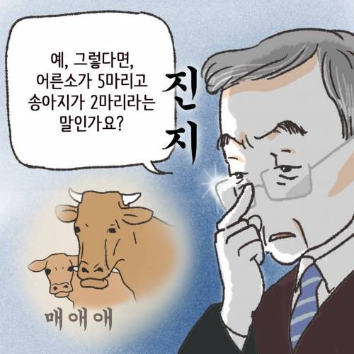 [스압] 브랜드 한우의 가격은 그래서 ?????