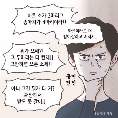 [스압] 브랜드 한우의 가격은 그래서 ?????