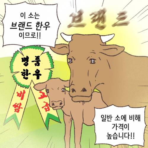 [스압] 브랜드 한우의 가격은 그래서 ?????