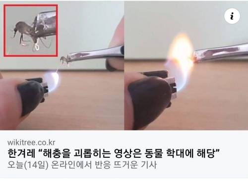 해충 학대.jpg