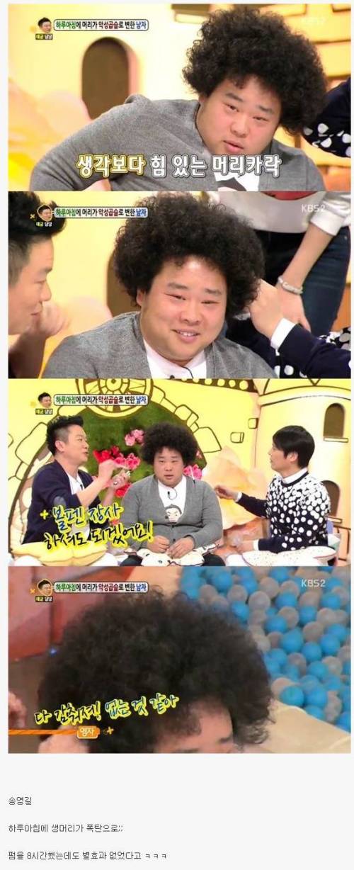악성곱슬 끝판왕 연예인.jpg