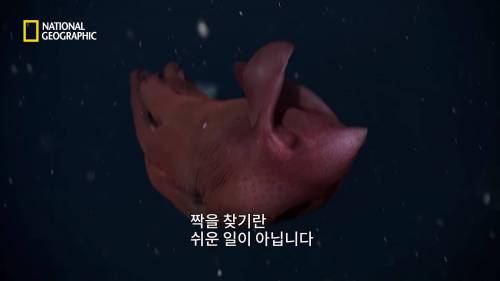 드넓고 황폐한 심해.jpg