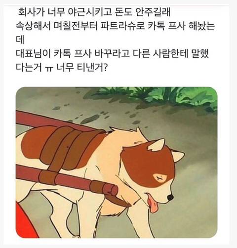회사 대표님이 카톡 프사를 바꾸라고 한 이유