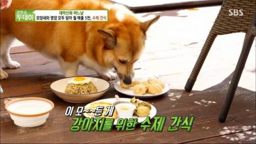 [스압] 강아지 수제간식 근황.jpg