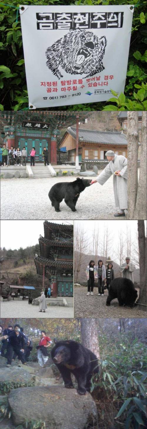 곰 출현주의.jpg