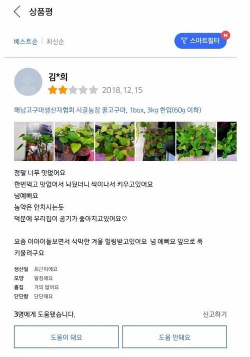 어느 주부의 해남 꿀고구마 구매 후기.jpg