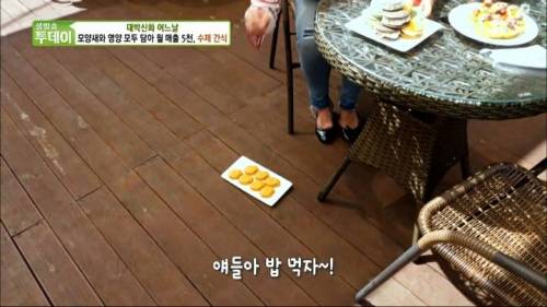 [스압] 강아지 수제간식 근황.jpg