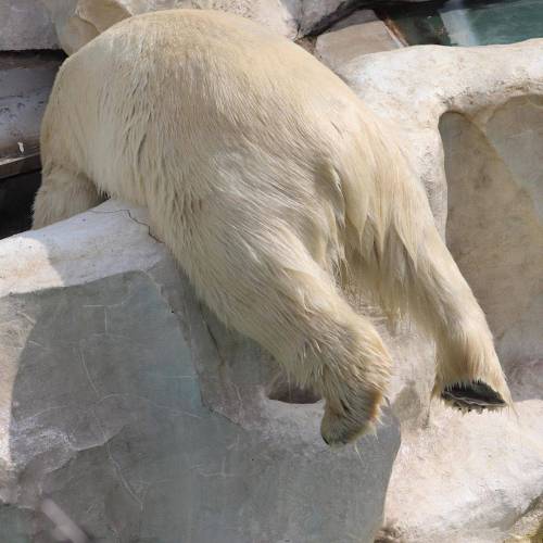 배스킨라빈스 알바곰.jpg