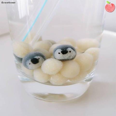 동물 모양 타피오카펄.jpg