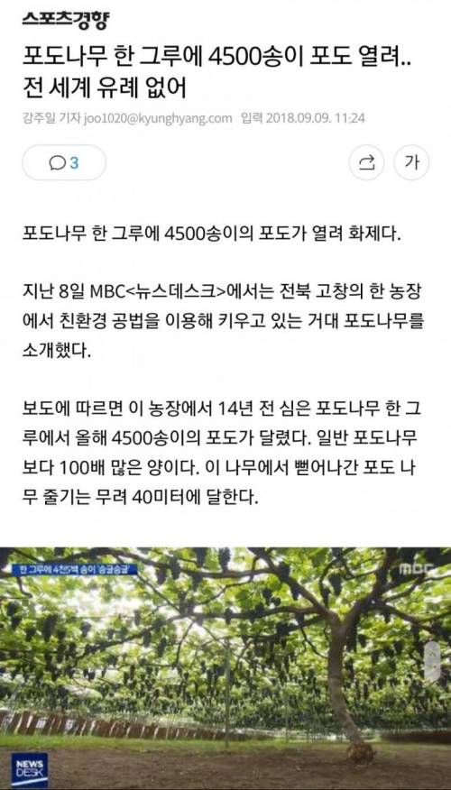 [스압] 서양 농업 vs 한국 농업