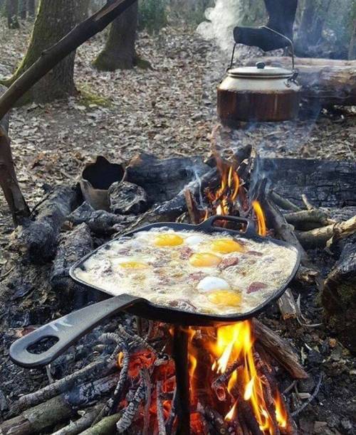 어느 자연인 이 알려주는 음식 맛나게 먹기甲.