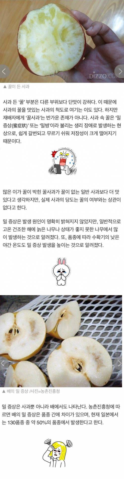 사과 속에 있는 "꿀"의 정체.jpg