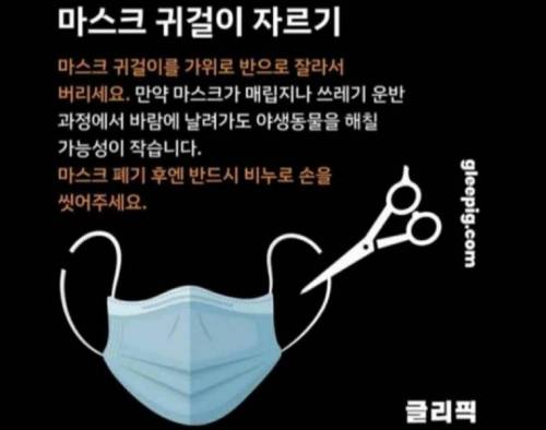 마스크 버릴때 팁.jpg