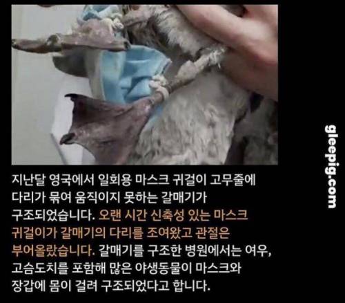 마스크 버릴때 팁.jpg