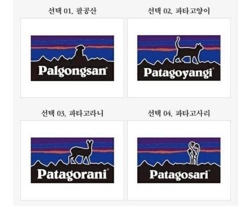 파타고니아 사장이 보면 빡칠만한 가짜.jpg