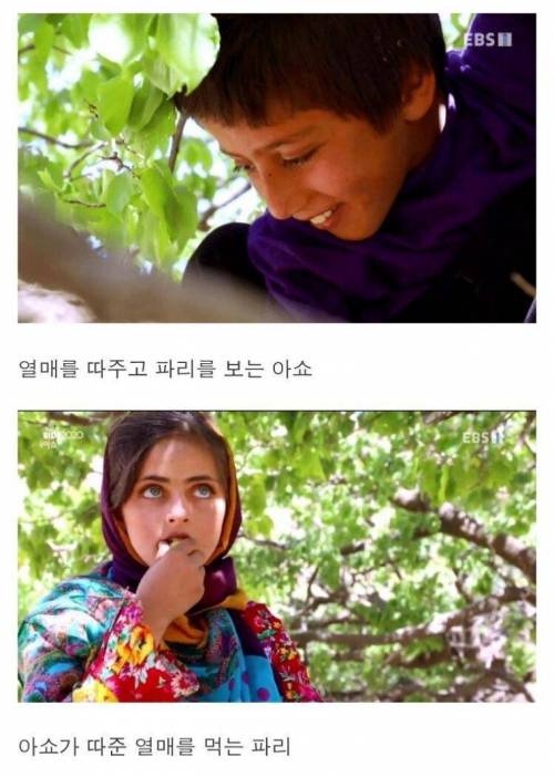 [스압] 약혼녀가 너무 싫어요.jpg