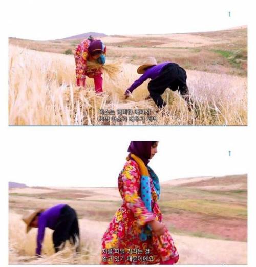 [스압] 약혼녀가 너무 싫어요.jpg