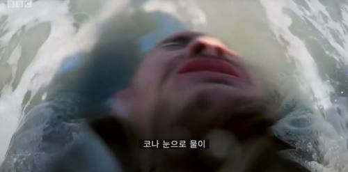 [스압] 이근대위가 파괴해버린 영국 서바이벌 프로그램.jpg