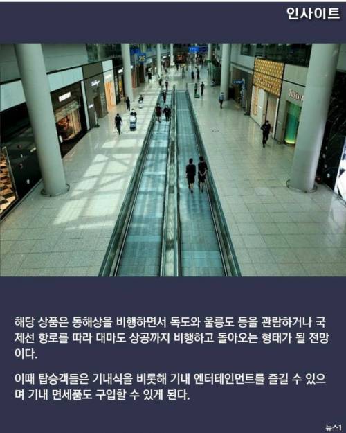 하늘만 뱅뱅 돌다 오는 '하늘투어' 상품 출시한다.jpg