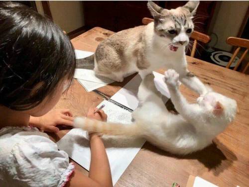 색칠공부에 집중을못하겠다.jpg