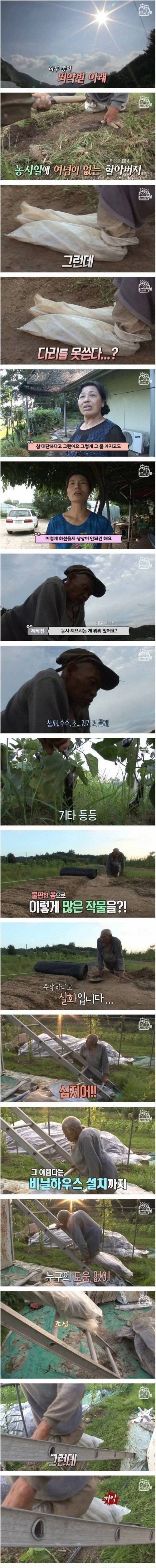 [스압] 딸을 위해 열심히 700평 농사짓는 아빠.jpg