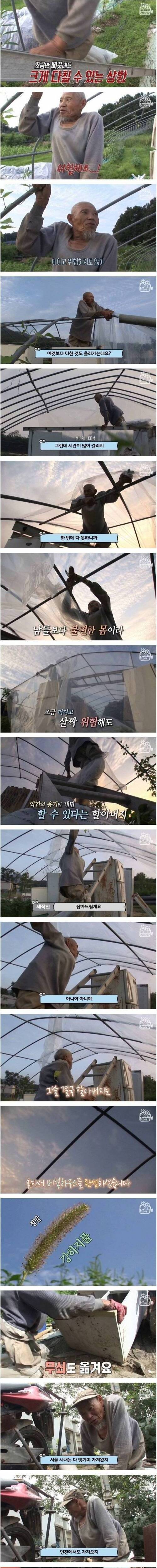 [스압] 딸을 위해 열심히 700평 농사짓는 아빠.jpg