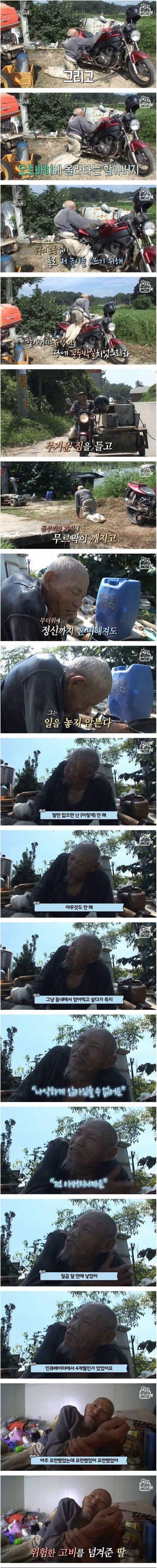 [스압] 딸을 위해 열심히 700평 농사짓는 아빠.jpg