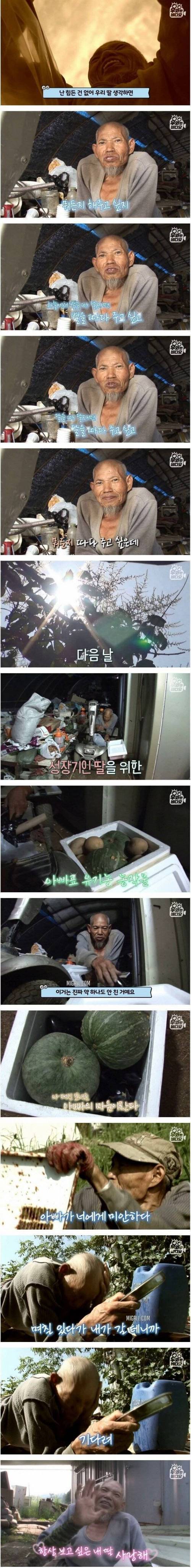 [스압] 딸을 위해 열심히 700평 농사짓는 아빠.jpg