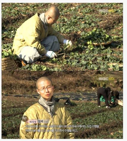 스님도 포기할 수 없었던 속세의 아이템