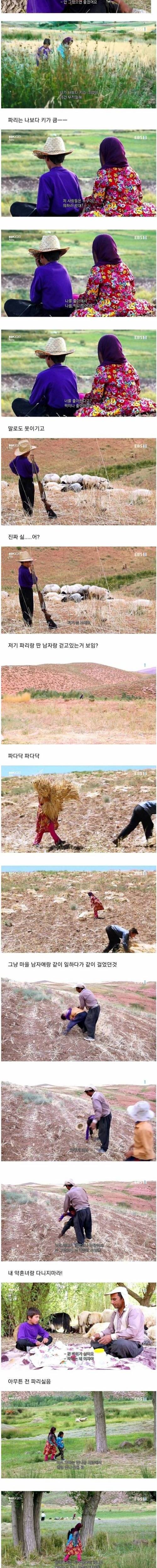 [스압] 약혼녀가 너무 싫어요.jpg