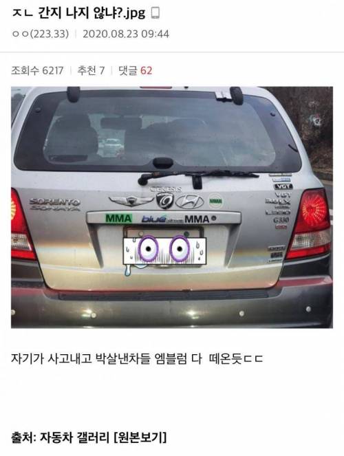 의외로 간지나는 차량 튜닝.jpg